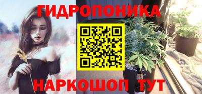 крисы Бузулук