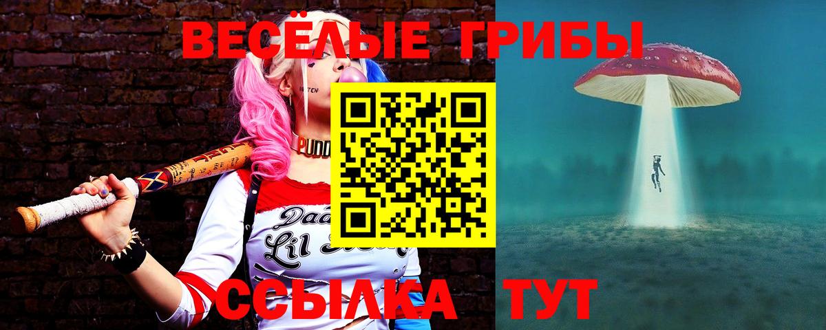 Галлюциногенные грибы ЛСД  Вход с VPN  Ртищево 